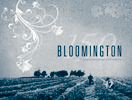 Cover of Bloomington book